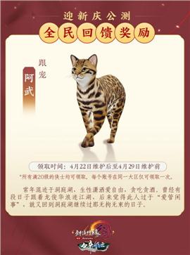 神灵5天龙八部私服
